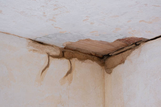 Professional Water damage restoration in Idalou, TX