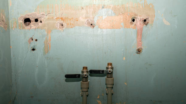 Best Water damage restoration near me  in Idalou, TX